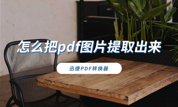 怎么把pdf图片提取出来