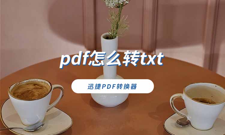 pdf怎么转txt