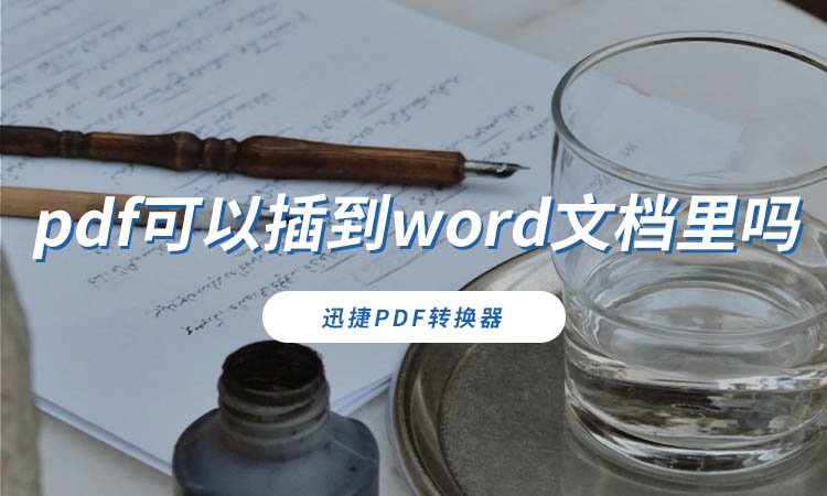 pdf可以插到word文档里吗