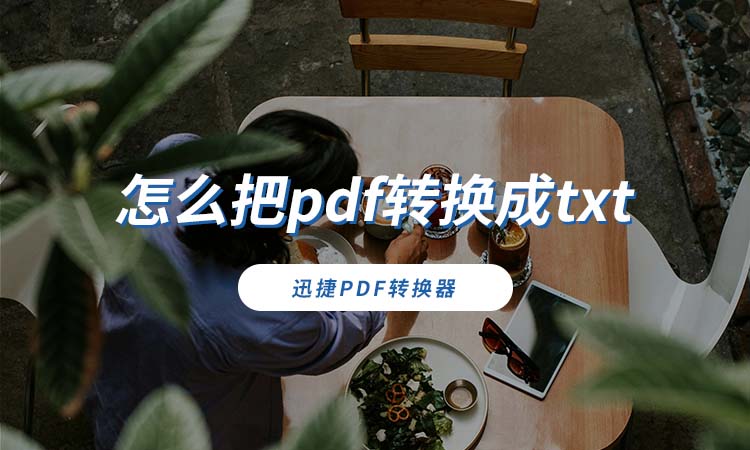 怎么把pdf转换成txt