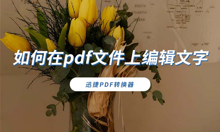 如何在pdf文件上编辑文字