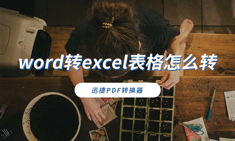 word转excel表格怎么转