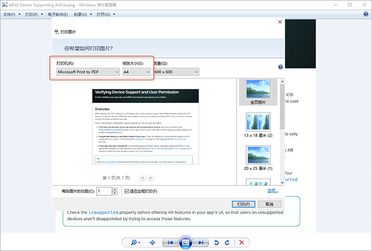 使用“打印到 PDF”功能